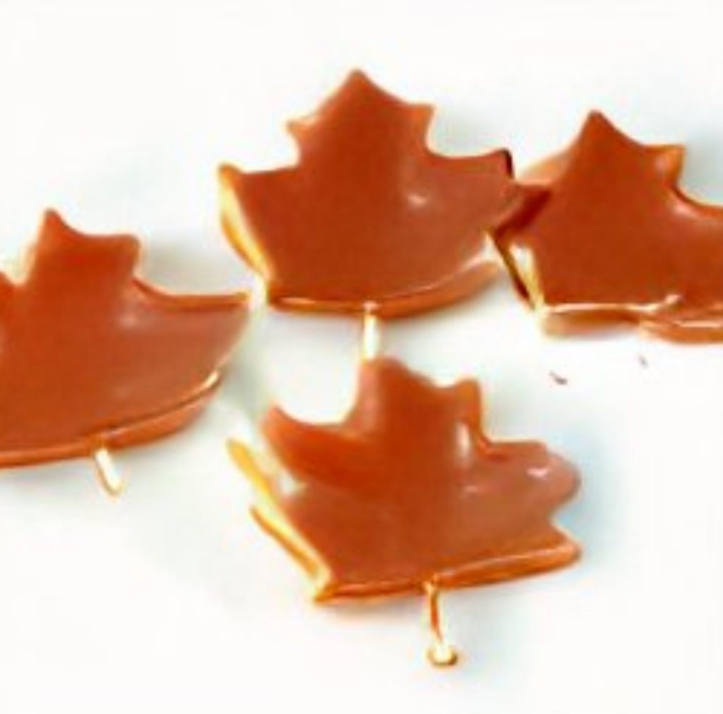 Toronto Jim maple syrup candy