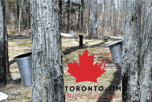 maple trees with Toronto Jim logo
